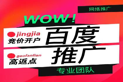 百度竞价广告运营成功案例：如何制定预算